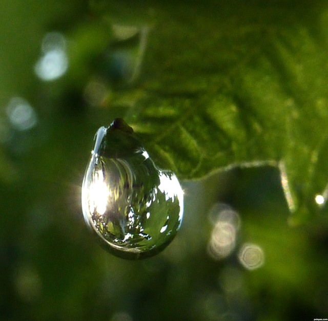 most-beautiful-raindrops-pictures-19